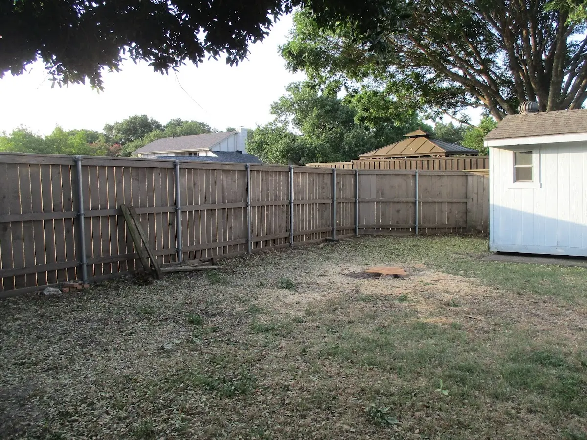 Cleared yard after professional tree removal in Bee