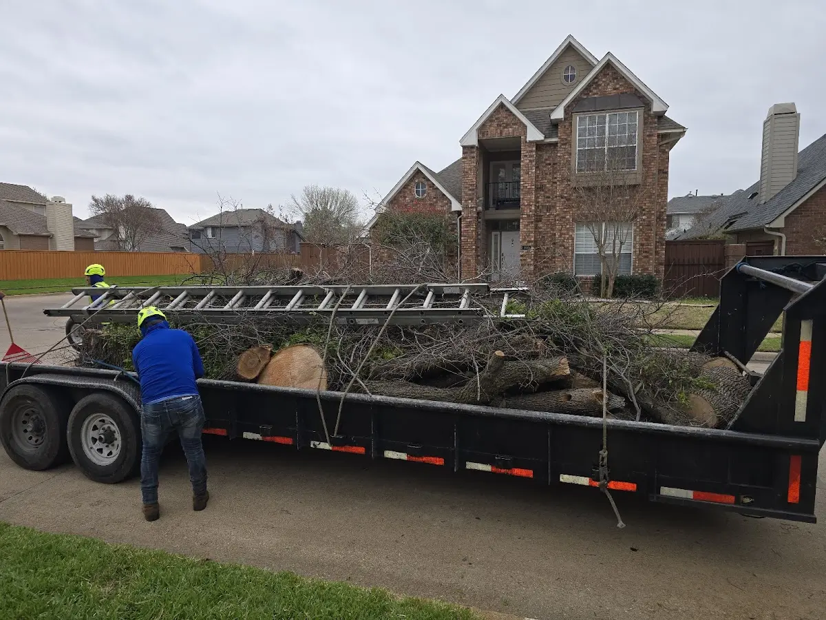 Expert Lot Clearing with proper safety equipment in Bee